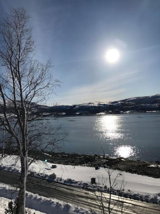 Trivelig fritidshus på Årnes, Senja Straumstad Eksteriør bilde