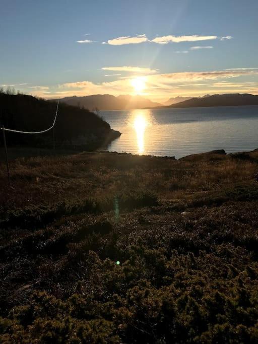Trivelig fritidshus på Årnes, Senja Straumstad Eksteriør bilde