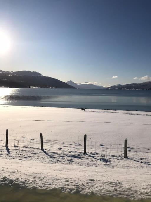 Trivelig fritidshus på Årnes, Senja Straumstad Eksteriør bilde